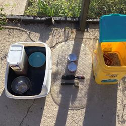 Cat/Kitty Starter Kit