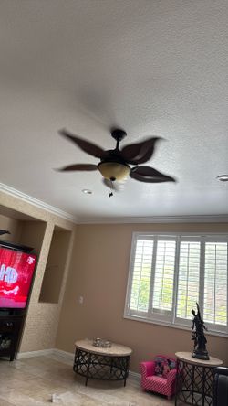 ceiling fan 