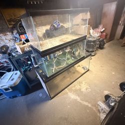 Reptile/Fish Tanks