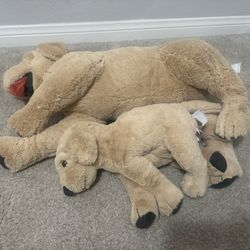 $20 Cosig Ikea Golden Retriever Set - Mom And Puppy