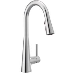 Moen Kitchen faucet