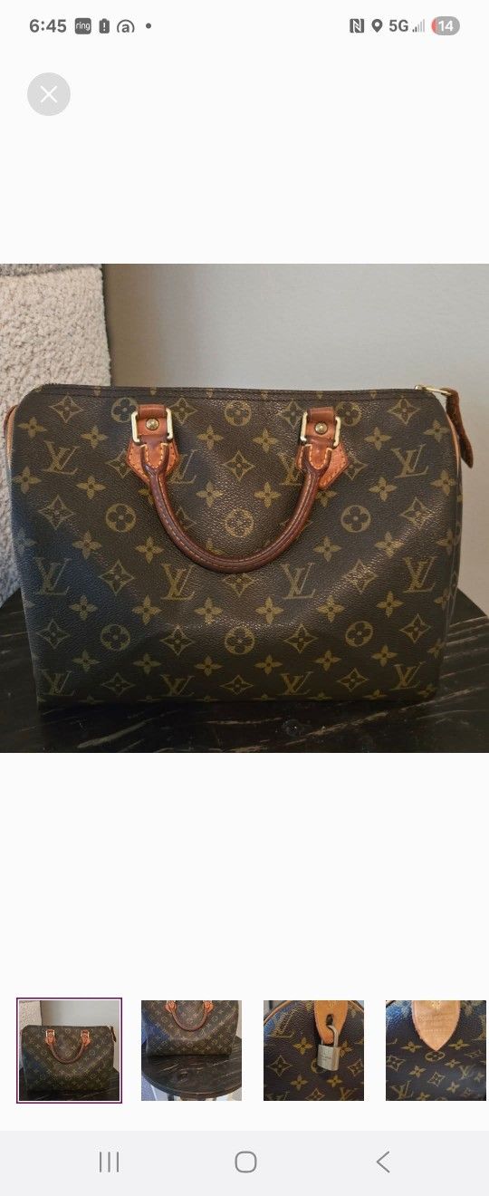 Louis Vuitton Speedy Monogram Handbag