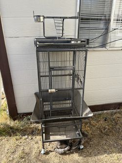 Bird Cage 