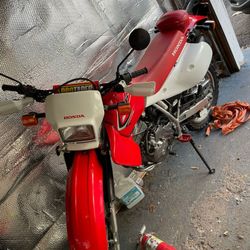 motor honda trial