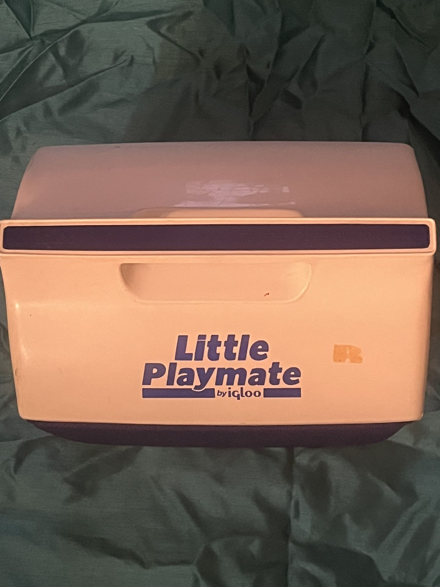 Little Playmate by Igloo Cooler