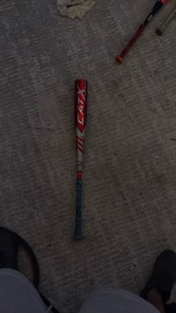 Baseball bat cat x