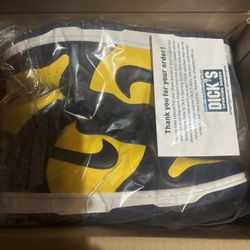 Nike Dunk Size 9.5M Michigan