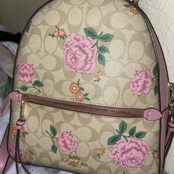 Coach Backpack 
