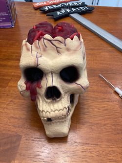 Halloween Skull Decoration with Brain Detail