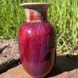 Chinese Porcelain Vase Qing dynasty 