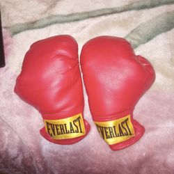 Everlast Small Boxing 🥊