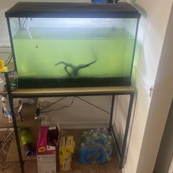 29 Gallon Fish Tank With Stand 
