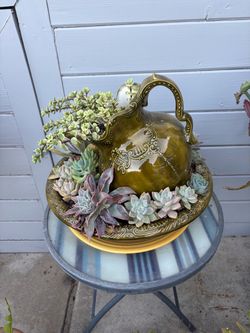 Ceramic Pitcher Succulent Arrangement