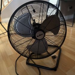 Fan