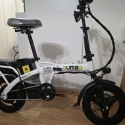 New Electric Bike 