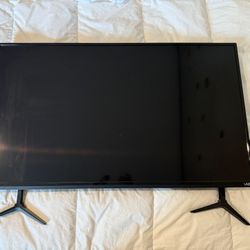 40in Vizio TV 
