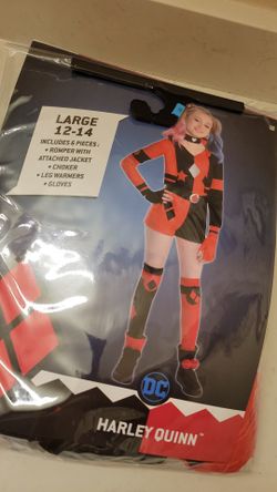 Harley Quinn Costume