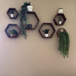 Wall Shelves 