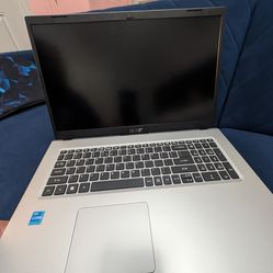 Acer Aspire 3 Silver 17.3" Laptop