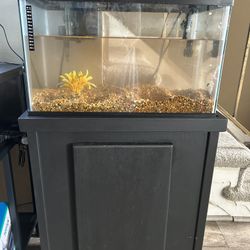 10 Gallon Fish Tank And Stand