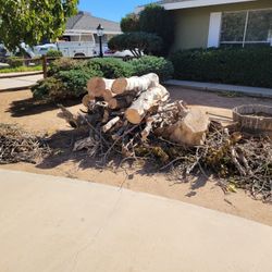 FREE WOOD