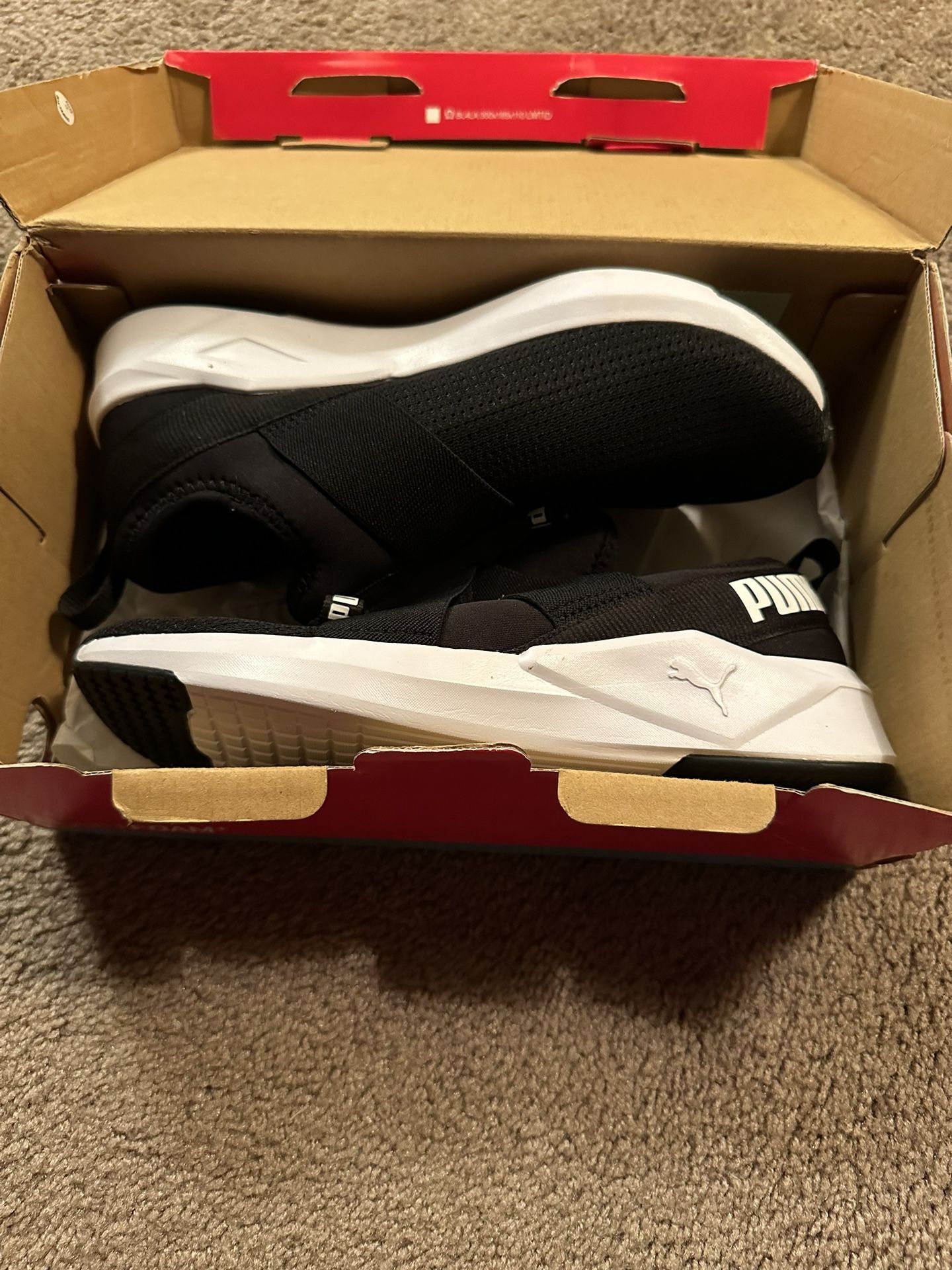 New Pumas