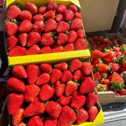 Strawberries For Sale 