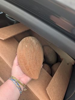 MAMEY $5 la libra o $200 la caja