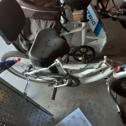 Weeride Bike Trailer