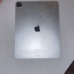 iPad Pro Silver With Apple Pencil 2nd Generation And Case 