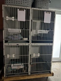 Dog Kennel Banks