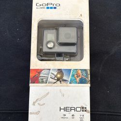 Go Pro