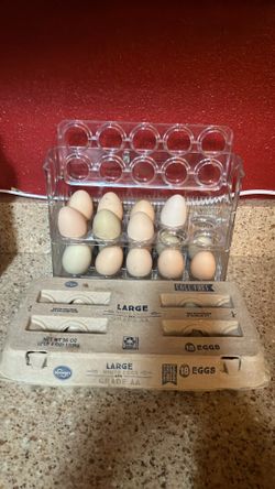 Egg cartons filled