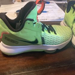 8 1/2 Lebron Grinch