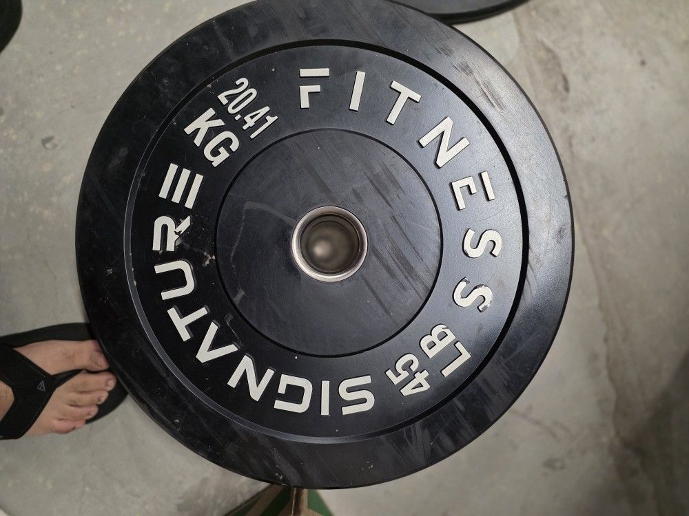x2 45Lbs PLATES