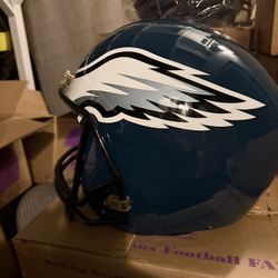 NFL Philadelphia Eagles Fanbasket