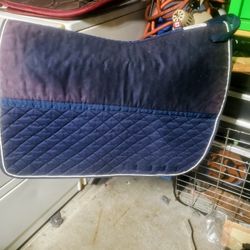 Saddle Pads, Boots  Bridles,halters & More 