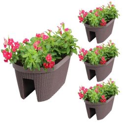 Plants Box