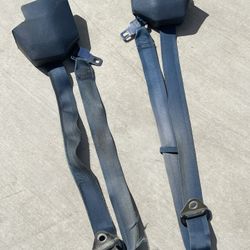Used Seat Belts 