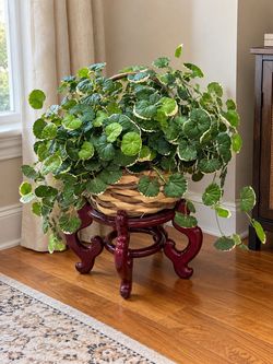 Artificial Plant with Basket & Solid Wood Stand