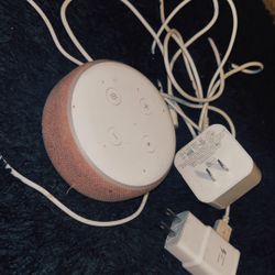 Alexa/Echo Dot Device
