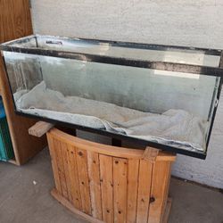 Aquarium Items