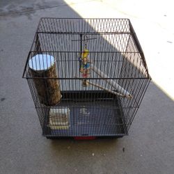  Bird 🐦 Cages 