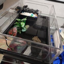 Gozilla Small Turtle Tank