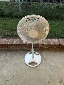 Fan