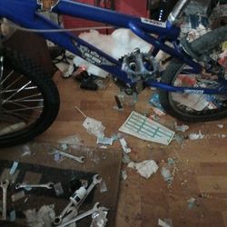 Custom@@Freestyle Bike