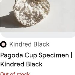 KINDRED BLACK PAGODA CUP SPECIMEN DECOR
