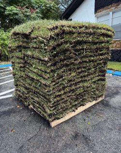 St Augustine Sod Pallets