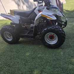 2007 polaris 50cc 