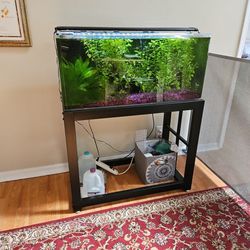 Acrylic Fish Tank With Stand